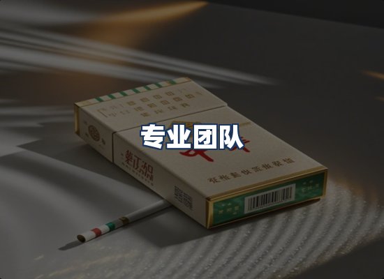 专业团队